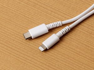 携帯充電器(無料貸出) 数に限りがあります、ご利用希望のお客様はフロントまでお申し付けください