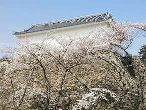 【亀山城】当館より徒歩10分/春には桜満開の亀山城が楽しめます。