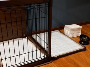 わんちゃんグッズ一例