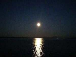 �����Y�̌��z�I�Ȍ��̓��ł��B����ꂽ��肢�������������c