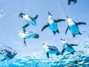 【当館から徒歩で20分】水族館や展望台、ショッピングモールがある複合施設「サンシャインシティ」