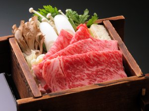 ���[�H���^�R�`���̂���������B���ߍׂ₩�ȃT�V���Y��ɓ��肱�񂾎R�`���͐�i�B