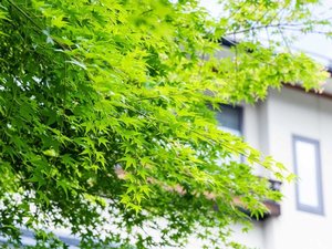 【その他】自然に囲まれた館内の風景