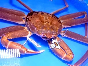 ̕l@ɂPOO@h݂̎{ݎʐ^1