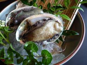 鸁i����сj