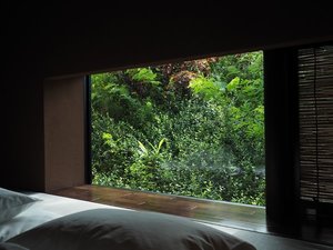窓からは沖縄固有の植栽をお楽しみください