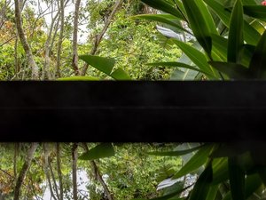 月桃の湯 五感で自然を感じながら