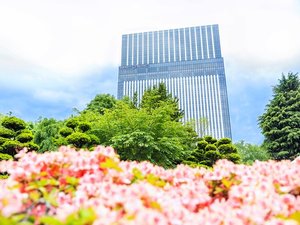 【外観】赤レンガ道庁の広場は四季折々の景色が楽しめます。