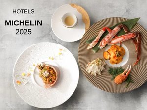 �~�V�������K�C�h �z�e���Z���N�V����2025