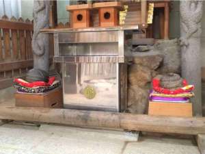 �����_��_�d�y��