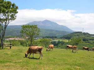 【高千穂牧場】霧島連山のふもとに広がる、雄大な自然に囲まれた観光牧場。入場は無料で気軽に楽しめます。