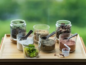 【ジオテラリウム作り体験】1日10組限定。1個1,500円(税込)