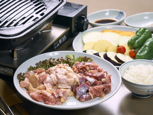 ・【食事】肉 ごはん 野菜