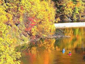 カヌーに乗って川から眺める定山渓の紅葉は格別です。