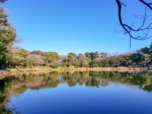 大瀬崎の神池|当館から徒歩約10分。お散歩に最適です。