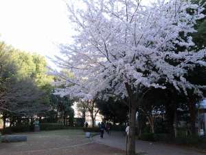 ホテルから徒歩5分の公園です。癒されますね♪