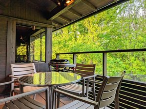 Forest Villa Chester̎{ݎʐ^1