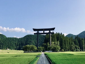 周辺観光|大鳥居