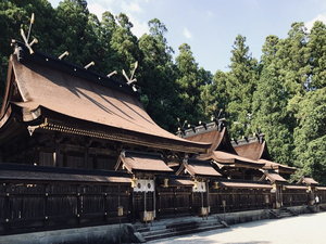 周辺観光|熊野本宮