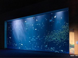 【四国水族館】メインの「綿津見の景」。青い静寂に包まれて、四国の海の美しさに心奪われるひとときを堪能