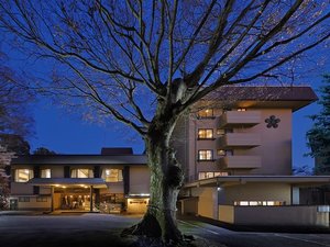 �}�g�R�]�ˉ��̎ʐ^