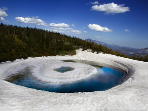 �y�h���S���A�C�c�A�[�z