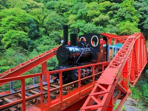 【当館から車で15分】別子銅山のテーマパークで、鉱山鉄道や坑道を楽しめる「マイントピア別子」