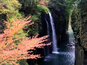 高千穂峡紅葉のピークは、その年の気候に左右されますが例年11月中旬前後です!
