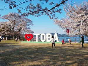 【城山公園】当施設から車で約30分、海を望む城山公園で、春を彩る桜の景色をお楽しみいただけます。