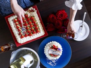 �A�j�o�[�T���[�C���\�W