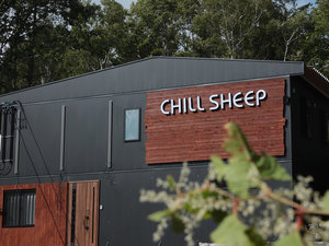ChillSheep̎ʐ^