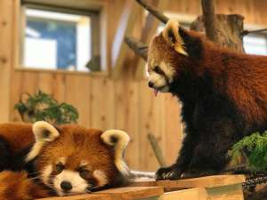 シャボテン公園
