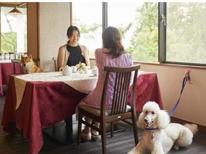 リードフックがあるからお食事の時も一緒にお過ごしいただけます