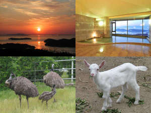 【岡山県の公共の宿】岡山いこいの村