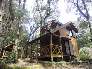 【宮崎県の貸し別荘・コテージ・ログハウス】御池野鳥の森公園 御池キャンプ村
