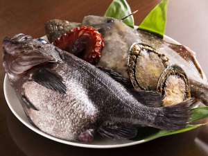 三陸海岸の豊潤な食材を大船渡港から直送