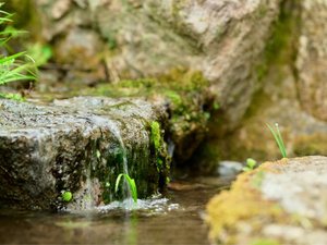 ふろんでんの水