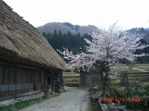 �y�򕌌�:���싽�z���h�\�E�G��