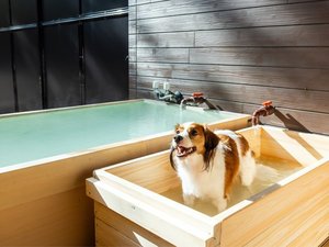 ��񂿂��p�����C