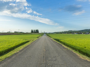 【里山の景色】大きく広がる空に、豊かな実り。日本の原風景に魅せられます。