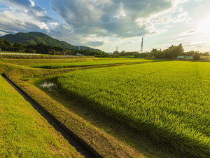 【里山の景色】大きく広がる空に、豊かな実り。日本の原風景に魅せられます。