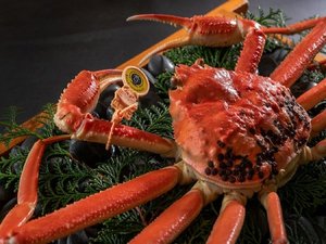 �T�̈�z�e�� ����̎ʐ^