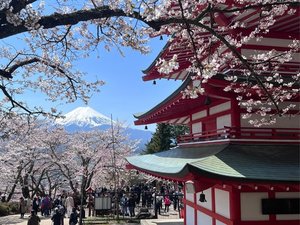 【周辺施設】新倉富士浅間神社【車で約25分】