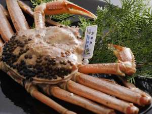 zeO^ʊقȂނ瑑̎{ݎʐ^1