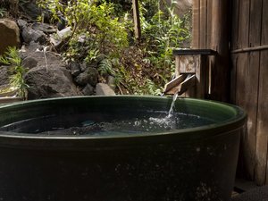 ������I�V���C�t�q���u�厺�v�i�a��10��+4.5��E2�x�b�h�j