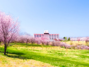 �O���[���s�A�O���݂₱�̎ʐ^