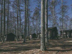 【長野県長野・戸隠・小布施エリアの貸別荘・コテージ・ログハウス・コンドミニアム】飯綱高原キャンプ場 nagano forest village