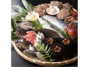 �y�{�錧:�Ί��E�C����z�T�R��