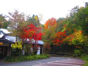 kJ̏h@C̋S@̎{ݎʐ^1