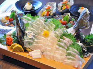 【夕食一例】新鮮な大分県産かぼすヒラメ。一尾豪快に姿造りでご用意します